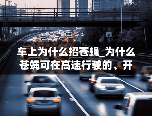 车上为什么招苍蝇_为什么苍蝇可在高速行驶的、开着窗的汽车里轻松飞来飞去，与车同速？