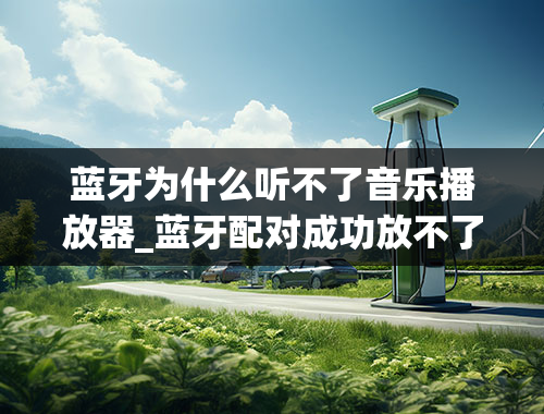 蓝牙为什么听不了音乐播放器_蓝牙配对成功放不了音乐是什么原因？