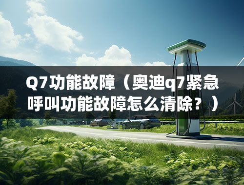 Q7功能故障（奥迪q7紧急呼叫功能故障怎么清除？）