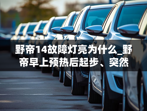 野帝14故障灯亮为什么_野帝早上预热后起步、突然熄火再也打不着、无任何故障指示灯亮、重新