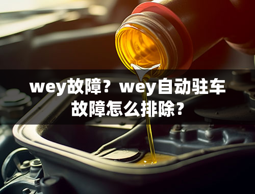 wey故障？wey自动驻车故障怎么排除？