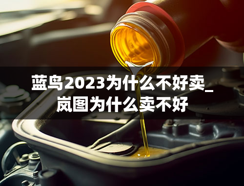 蓝鸟2023为什么不好卖_岚图为什么卖不好