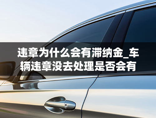 违章为什么会有滞纳金_车辆违章没去处理是否会有滞纳金