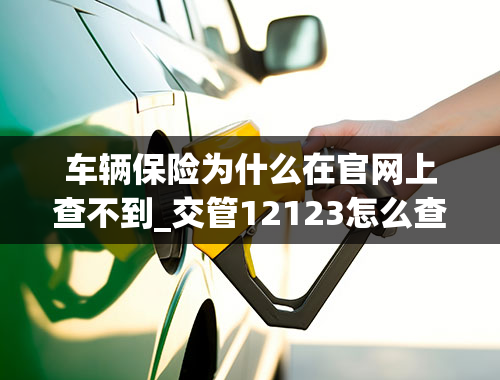 车辆保险为什么在官网上查不到_交管12123怎么查询保险单，不能查询保单