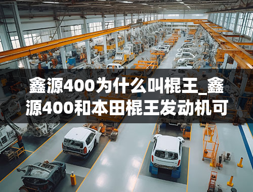 鑫源400为什么叫棍王_鑫源400和本田棍王发动机可以互换吗