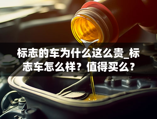 标志的车为什么这么贵_标志车怎么样？值得买么？