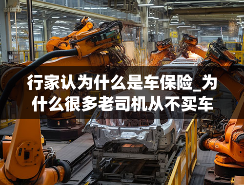 行家认为什么是车保险_为什么很多老司机从不买车损险？行家说“吃一次亏就明白了”是怎么回事？