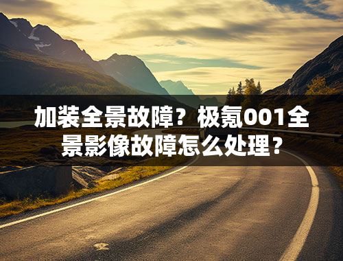 加装全景故障？极氪001全景影像故障怎么处理？