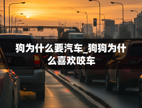 狗为什么要汽车_狗狗为什么喜欢咬车