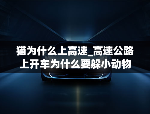 猫为什么上高速_高速公路上开车为什么要躲小动物