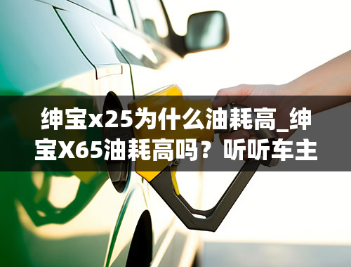 绅宝x25为什么油耗高_绅宝X65油耗高吗？听听车主们的真实感受