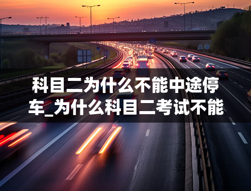 科目二为什么不能中途停车_为什么科目二考试不能中途