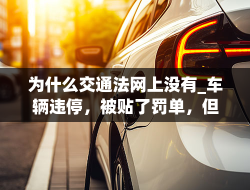 为什么交通法网上没有_车辆违停，被贴了罚单，但是网上没查到违章记录。要罚钱吗？