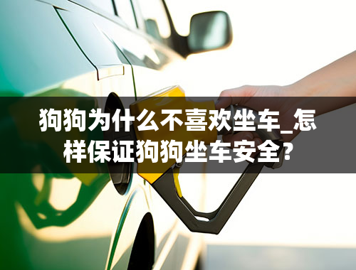 狗狗为什么不喜欢坐车_怎样保证狗狗坐车安全？