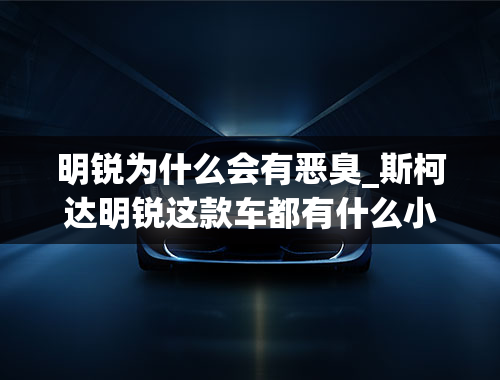 明锐为什么会有恶臭_斯柯达明锐这款车都有什么小问题？