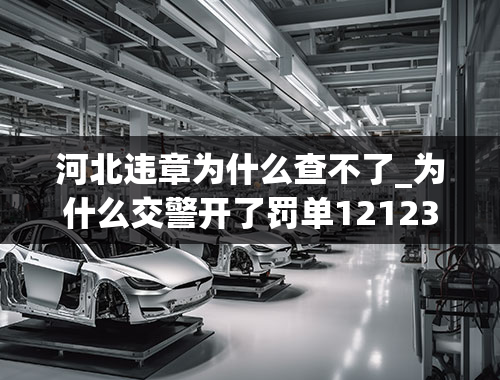 河北违章为什么查不了_为什么交警开了罚单12123上面查不到
