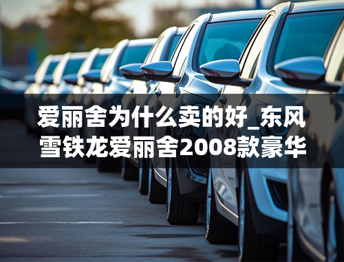 爱丽舍为什么卖的好_东风雪铁龙爱丽舍2008款豪华型手动1.6，08年，6万公里，卖4.6万，值吗？