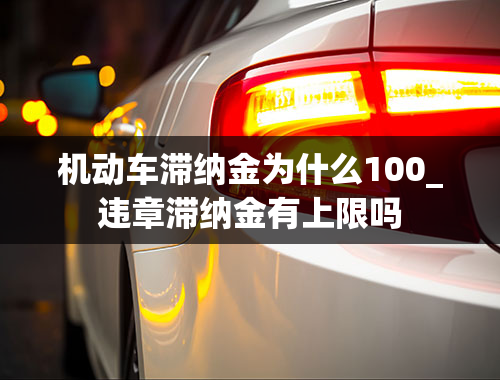 机动车滞纳金为什么100_违章滞纳金有上限吗