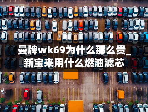 曼牌wk69为什么那么贵_新宝来用什么燃油滤芯