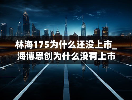 林海175为什么还没上市_海博思创为什么没有上市