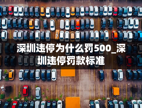 深圳违停为什么罚500_深圳违停罚款标准