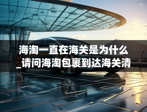 海淘一直在海关是为什么_请问海淘包裹到达海关清关中是什么意思？是到国内了吗清关得多久？