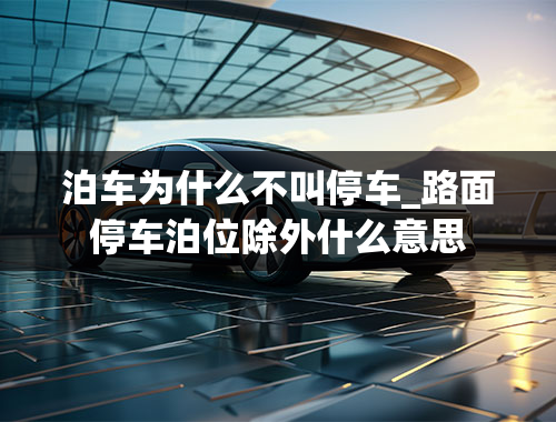 泊车为什么不叫停车_路面停车泊位除外什么意思