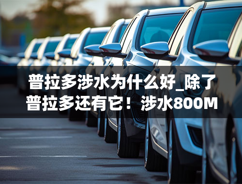 普拉多涉水为什么好_除了普拉多还有它！涉水800MM，7安全气囊，硬汉柔情最让人受不了