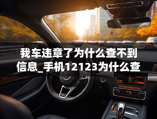 我车违章了为什么查不到信息_手机12123为什么查不到违章信息