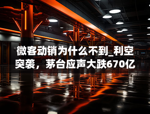 微客动销为什么不到_利空突袭，茅台应声大跌670亿，茅台的好日子是不是到头了？