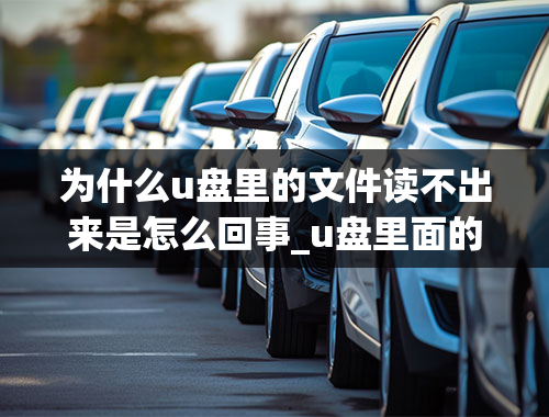 为什么u盘里的文件读不出来是怎么回事_u盘里面的文件读取不出来怎么办