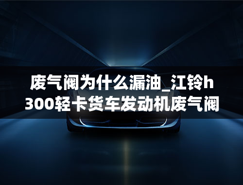 废气阀为什么漏油_江铃h300轻卡货车发动机废气阀渗油