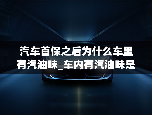 汽车首保之后为什么车里有汽油味_车内有汽油味是什么原因？