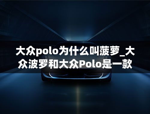 大众polo为什么叫菠萝_大众波罗和大众Polo是一款车吗