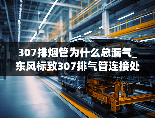 307排烟管为什么总漏气_东风标致307排气管连接处漏机油是怎么回事