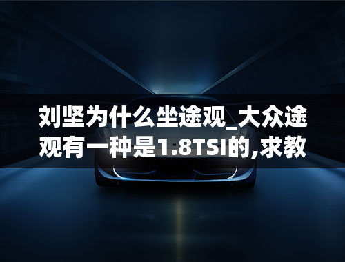 刘坚为什么坐途观_大众途观有一种是1.8TSI的,求教T和TSI的区别-