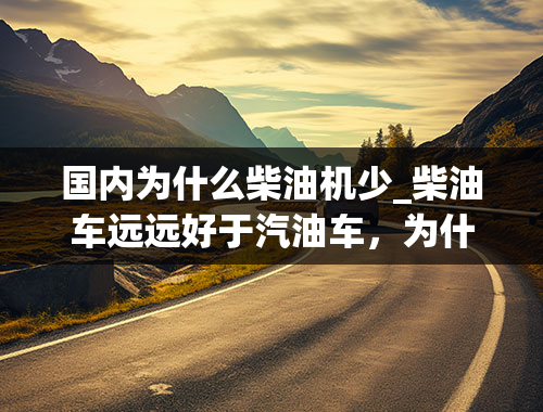 国内为什么柴油机少_柴油车远远好于汽油车，为什么中国柴油车那么少