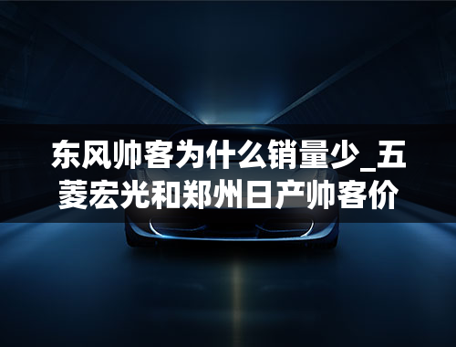 东风帅客为什么销量少_五菱宏光和郑州日产帅客价格差不多；那个好“