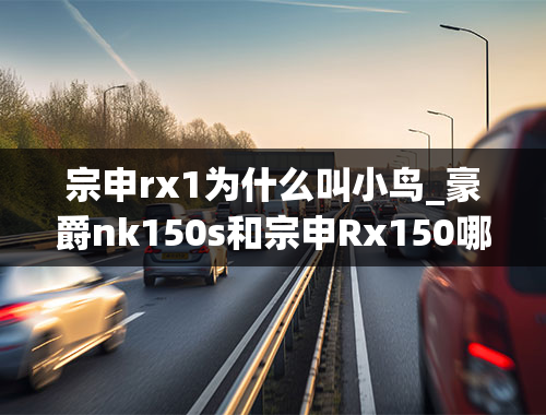 宗申rx1为什么叫小鸟_豪爵nk150s和宗申Rx150哪个好