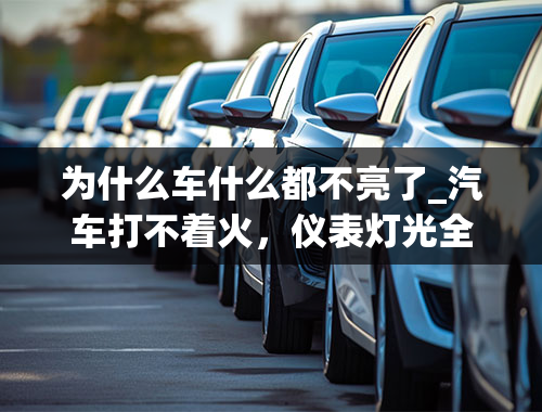 为什么车什么都不亮了_汽车打不着火，仪表灯光全都不亮，是什么原因呢？