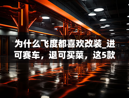 为什么飞度都喜欢改装_进可赛车，退可买菜，这5款“街车”绝对是改装车主的最爱！