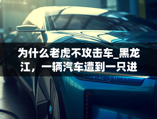 为什么老虎不攻击车_黑龙江，一辆汽车遭到一只进村的东北虎近距离冲击，车内之人有无受伤？