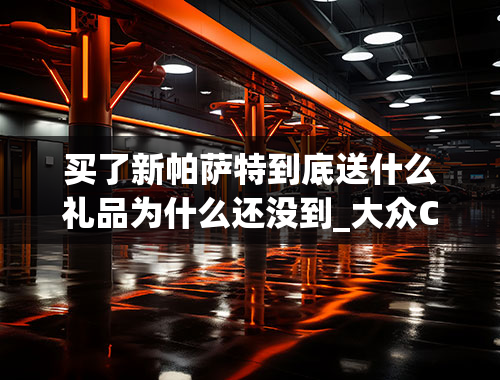 买了新帕萨特到底送什么礼品为什么还没到_大众CC，帕萨特CC，知道的请进来