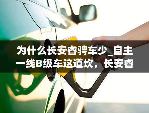 为什么长安睿骋车少_自主一线B级车这道坎，长安睿骋CC为何迈不过去？