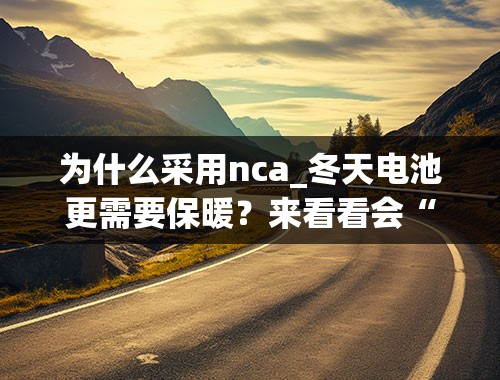 为什么采用nca_冬天电池更需要保暖？来看看会“自热”的电池技术