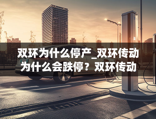 双环为什么停产_双环传动为什么会跌停？双环传动披露2021年半年报？002472双环传动除权日？