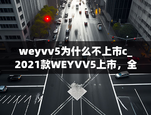 weyvv5为什么不上市c_2021款WEYVV5上市，全系标配自适应巡航，12.58万起售