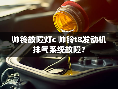 帅铃故障灯c 帅铃t8发动机排气系统故障？