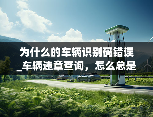 为什么的车辆识别码错误_车辆违章查询，怎么总是提示识别码错误呢？