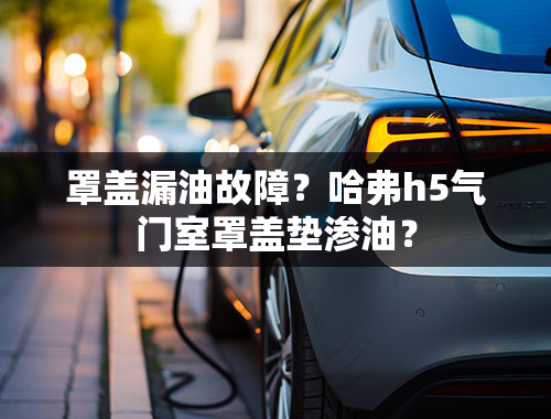 罩盖漏油故障？哈弗h5气门室罩盖垫渗油？